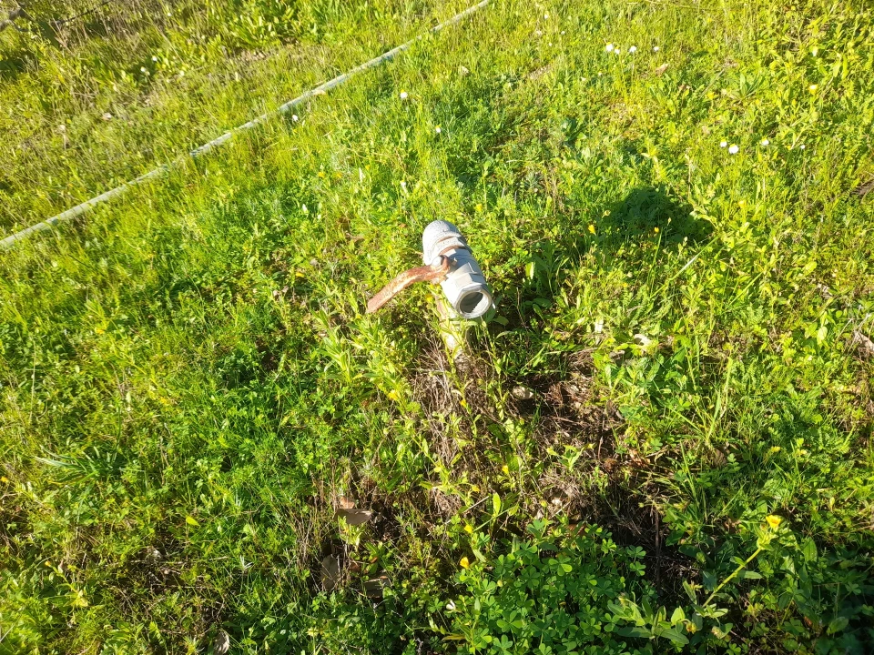 Quinta T3 para Venda em Vale de Prazeres e Mata da Rainha Foto 40