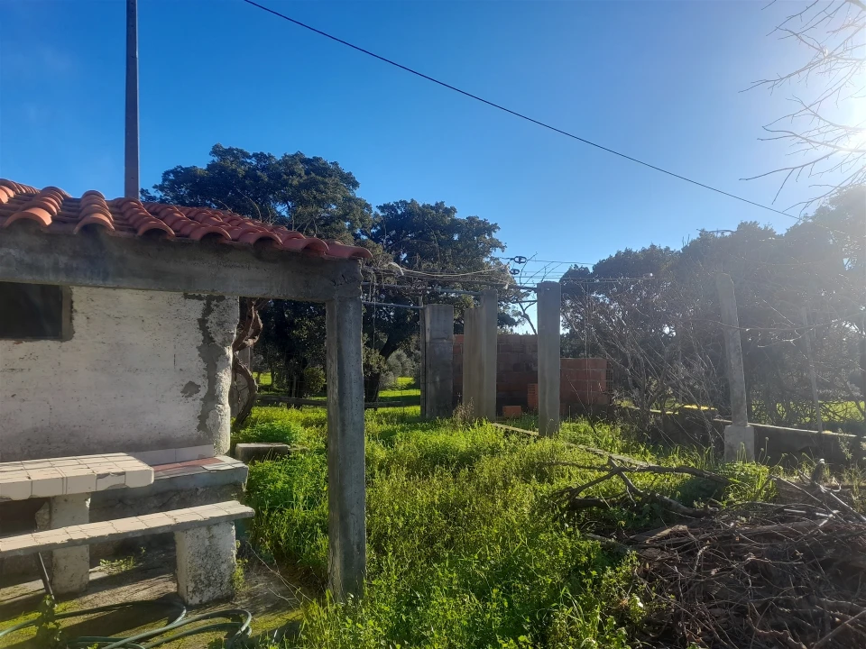 Quinta T3 para Venda em Vale de Prazeres e Mata da Rainha Foto 13