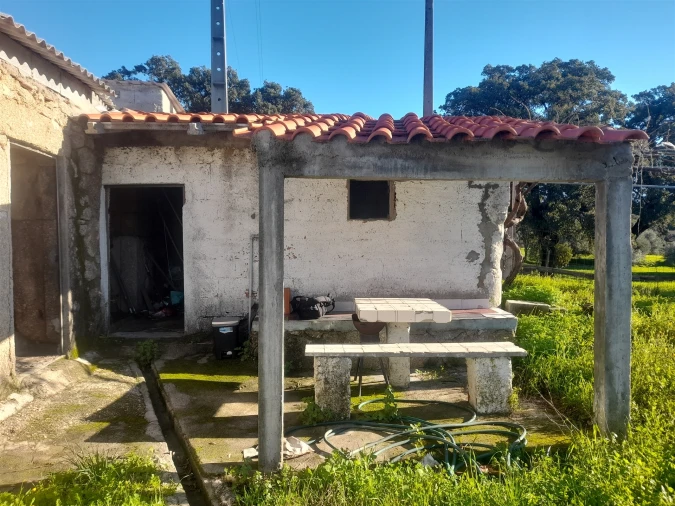Quinta T3 para Venda em Vale de Prazeres e Mata da Rainha Foto 12