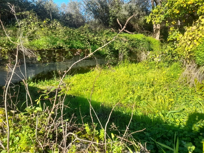 Quinta T3 para Venda em Vale de Prazeres e Mata da Rainha Foto 35