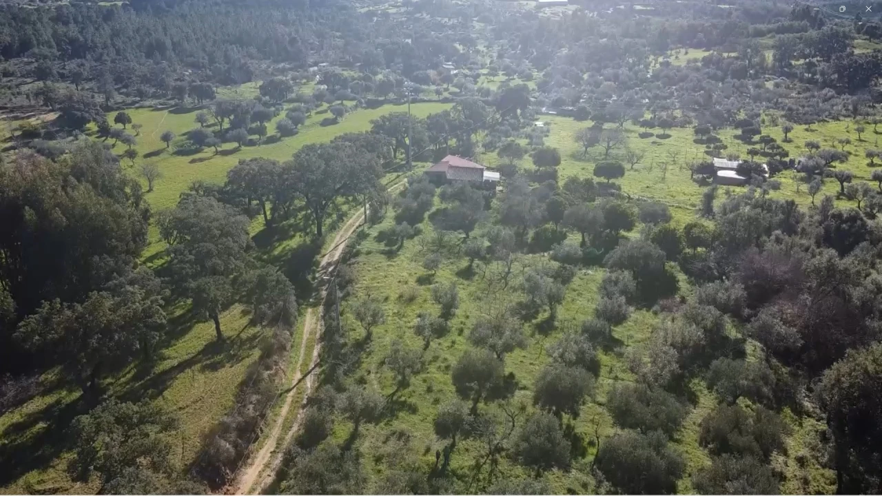 Quinta T3 para Venda em Vale de Prazeres e Mata da Rainha Foto 1