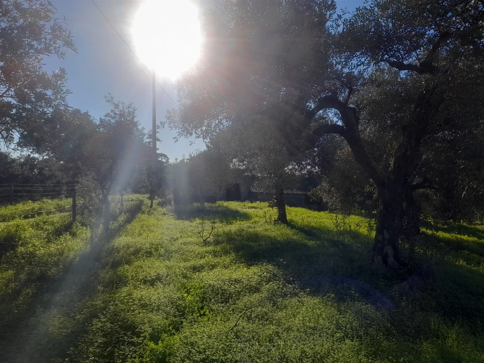 Quinta T3 para Venda em Vale de Prazeres e Mata da Rainha Foto 39