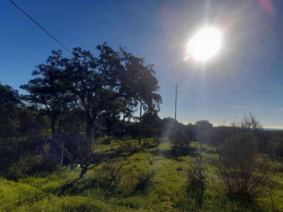 Quinta T3 para Venda em Vale de Prazeres e Mata da Rainha Foto 44