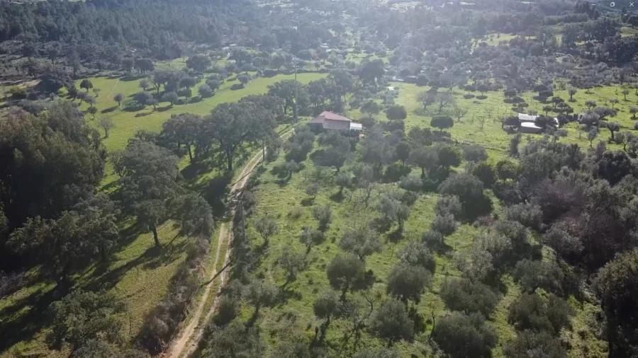Quinta T3 para Venda em Vale de Prazeres e Mata da Rainha