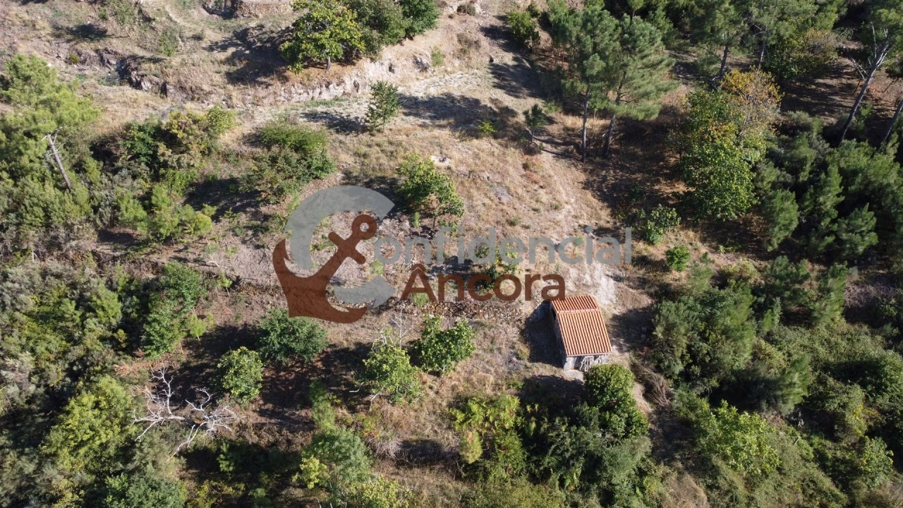 Quinta T3 para Venda em Santa Marinha e São Martinho Foto 50