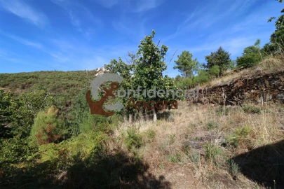 Quinta T3 para Venda em Santa Marinha e São Martinho