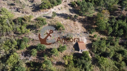 Quinta T3 para Venda em Santa Marinha e São Martinho
