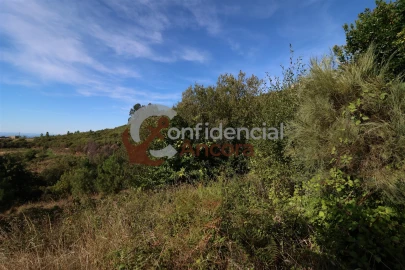 Quinta T3 para Venda em Santa Marinha e São Martinho