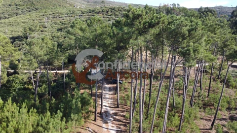 Quinta T3 para Venda em Santa Marinha e São Martinho