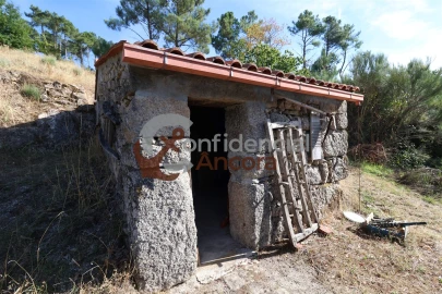 Quinta T3 para Venda em Santa Marinha e São Martinho