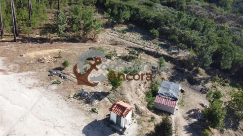 Quinta T3 para Venda em Santa Marinha e São Martinho