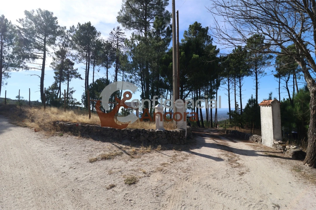 Quinta T3 para Venda em Santa Marinha e São Martinho Foto 2