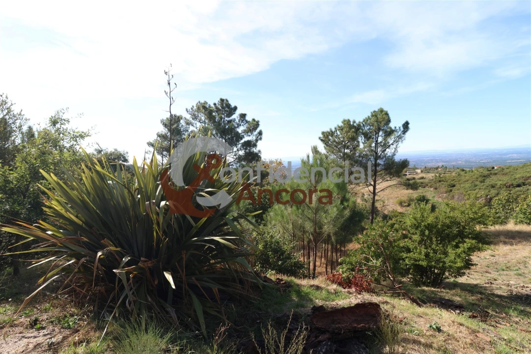 Quinta T3 para Venda em Santa Marinha e São Martinho Foto 14
