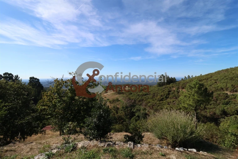 Quinta T3 para Venda em Santa Marinha e São Martinho Foto 28