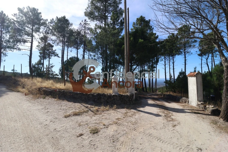 Quinta T3 para Venda em Santa Marinha e São Martinho Foto 2
