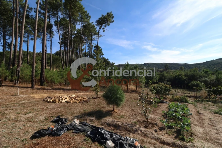 Quinta T3 para Venda em Santa Marinha e São Martinho Foto 7