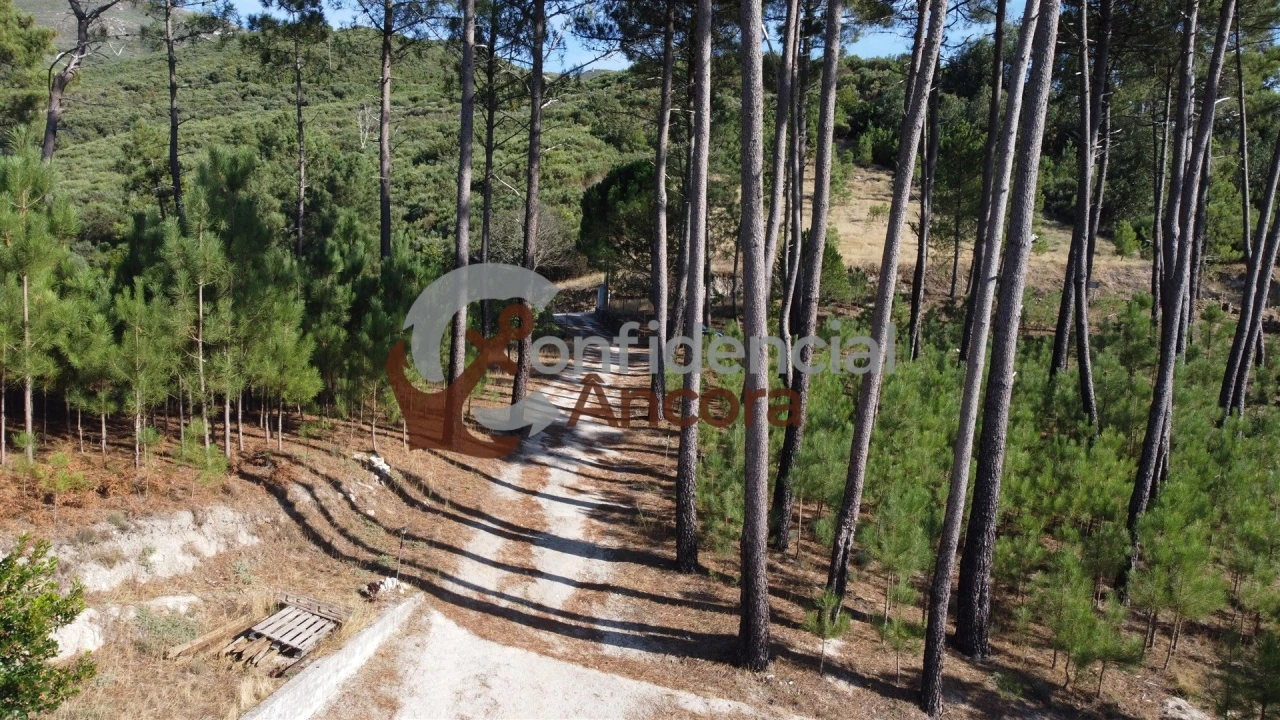 Quinta T3 para Venda em Santa Marinha e São Martinho Foto 52