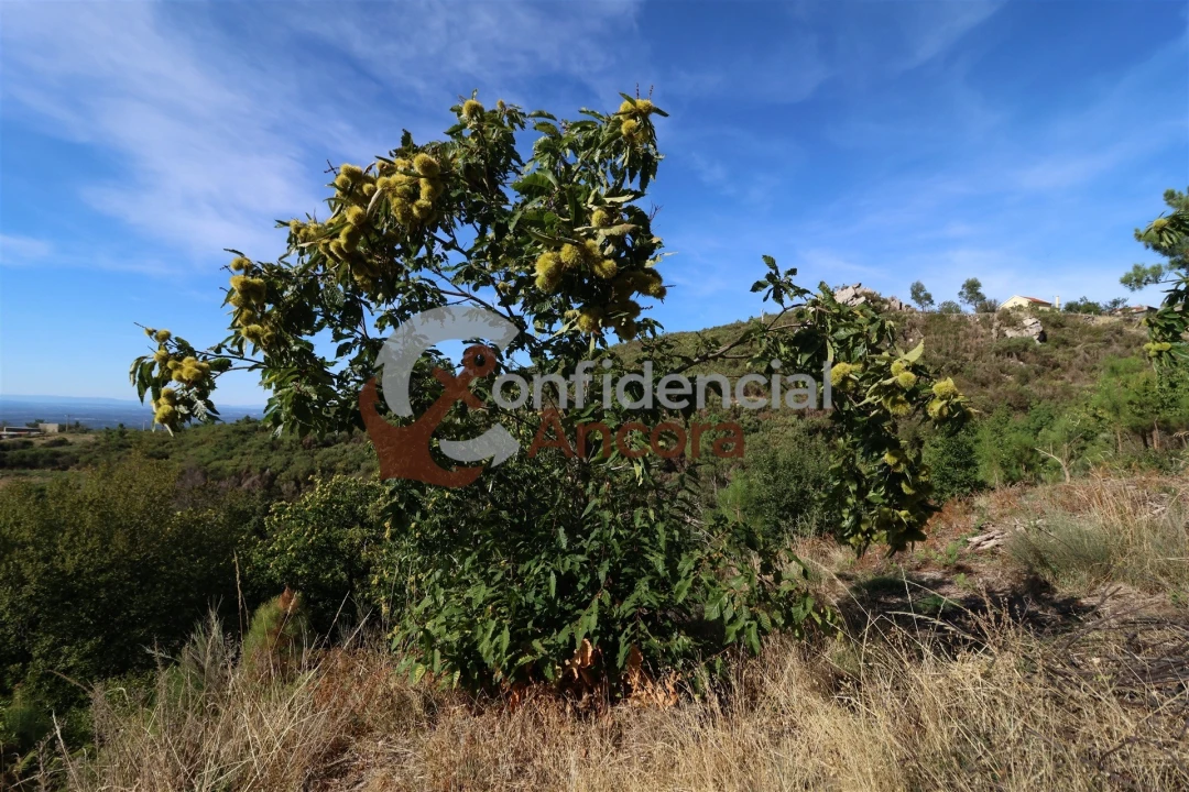 Quinta T3 para Venda em Santa Marinha e São Martinho Foto 21