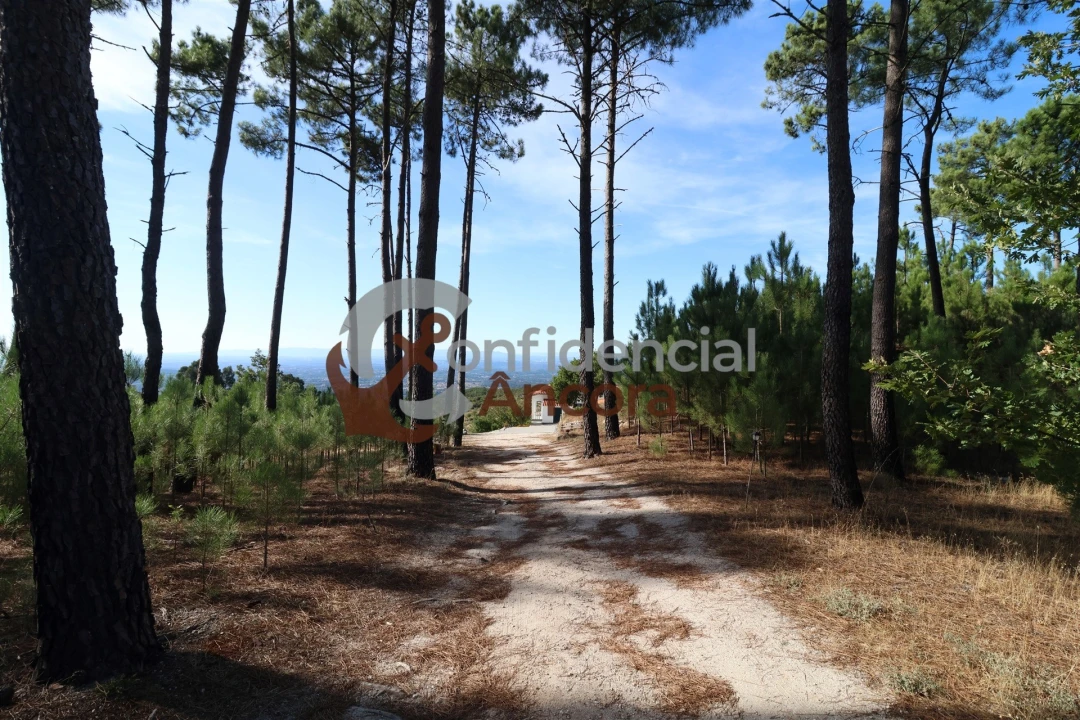 Quinta T3 para Venda em Santa Marinha e São Martinho Foto 4