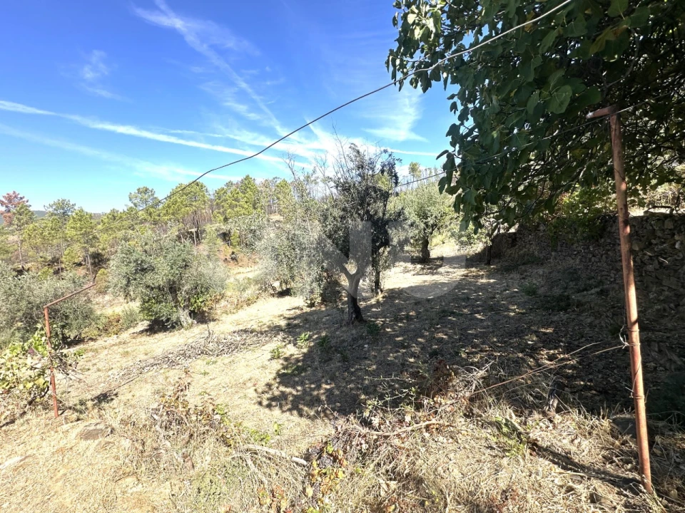 Moradia T4 para Venda em São Vicente da Beira Foto 37