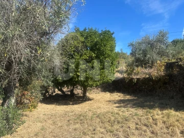 Moradia T4 para Venda em São Vicente da Beira