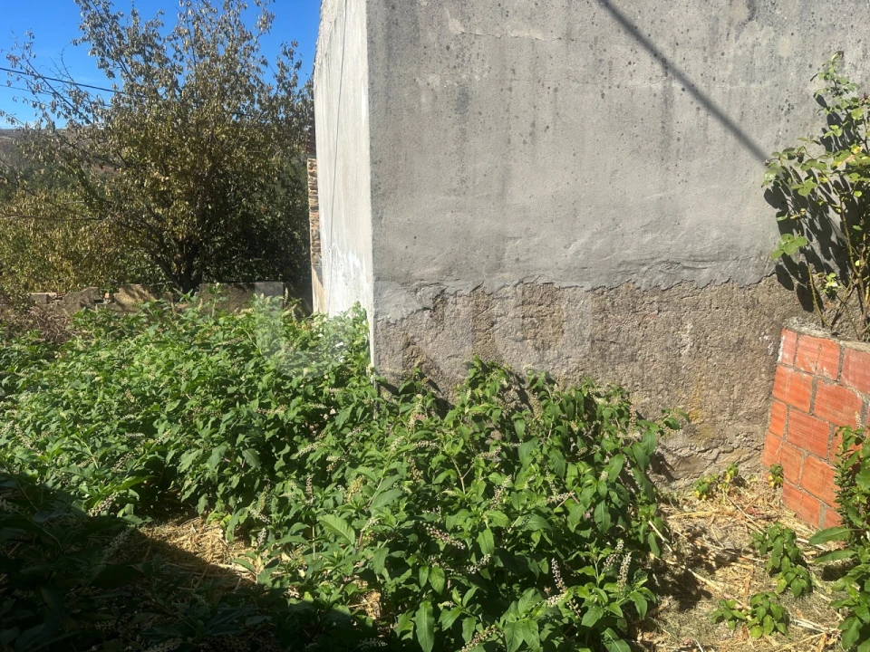 Moradia T1 para Venda em São Vicente da Beira Foto 10