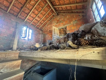 Moradia T1 para Venda em São Vicente da Beira