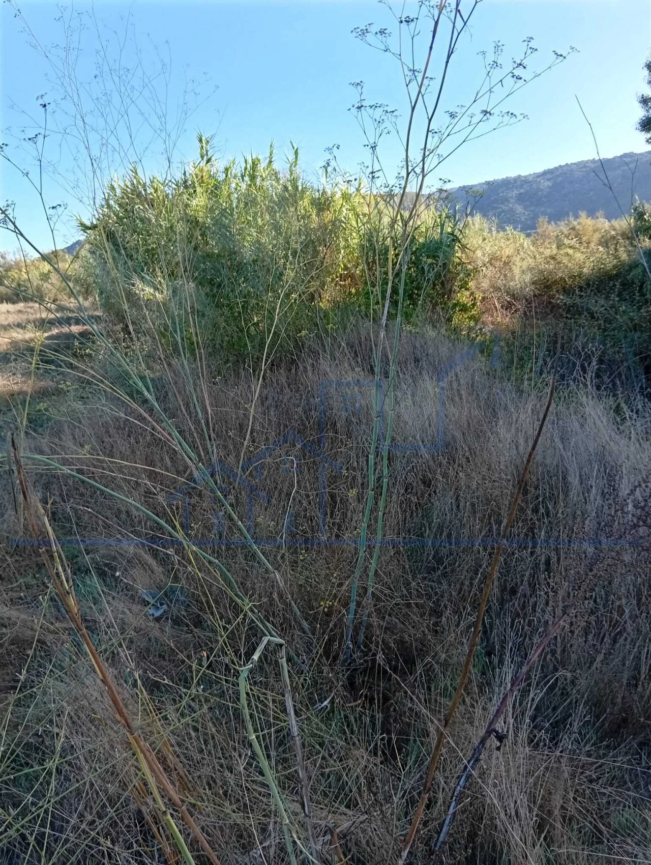 Terreno para Venda em Horta da Vilariça Foto 17