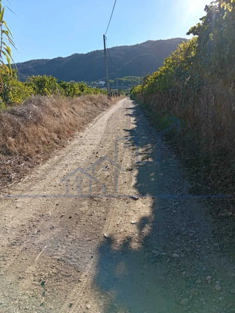 Terreno para Venda em Horta da Vilariça