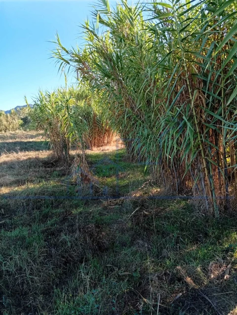 Terreno para Venda em Horta da Vilariça
