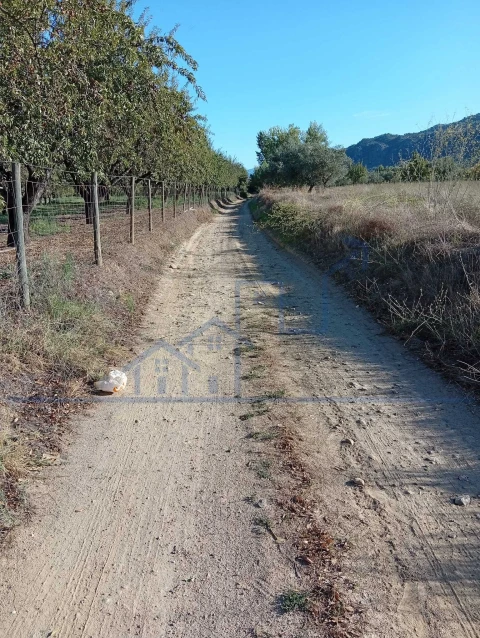 Terreno para Venda em Horta da Vilariça