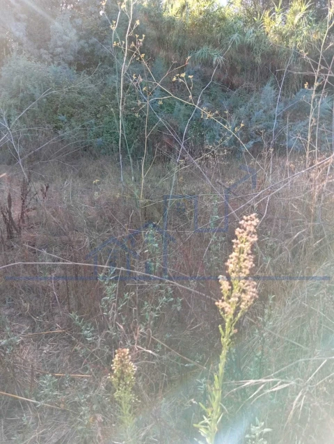 Terreno para Venda em Horta da Vilariça