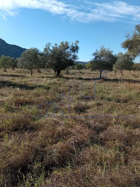 Terreno para Venda em Horta da Vilariça