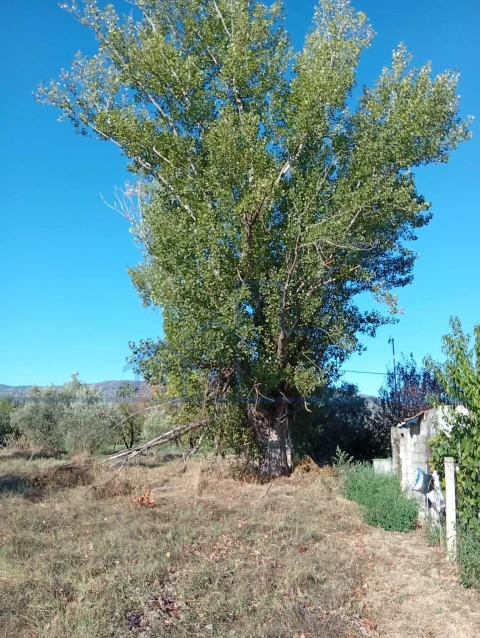 Terreno para Venda em Horta da Vilariça