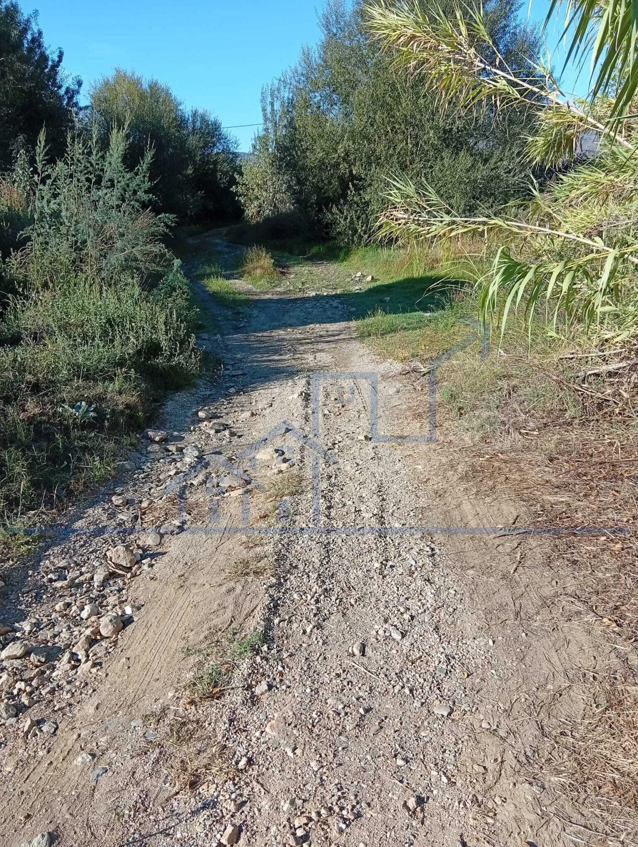 Terreno para Venda em Horta da Vilariça Foto 6