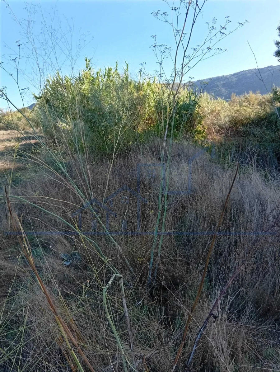 Terreno para Venda em Horta da Vilariça Foto 17