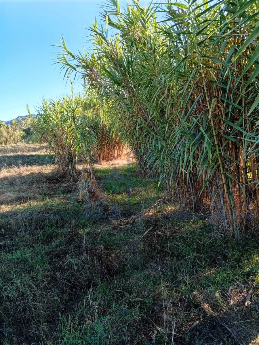 Terreno para Venda em Horta da Vilariça Foto 14