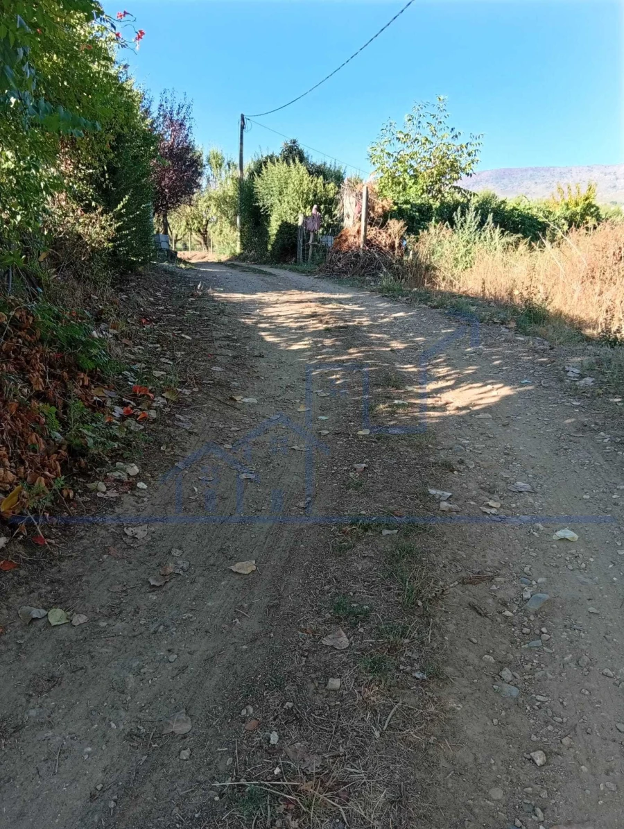 Terreno para Venda em Horta da Vilariça Foto 7