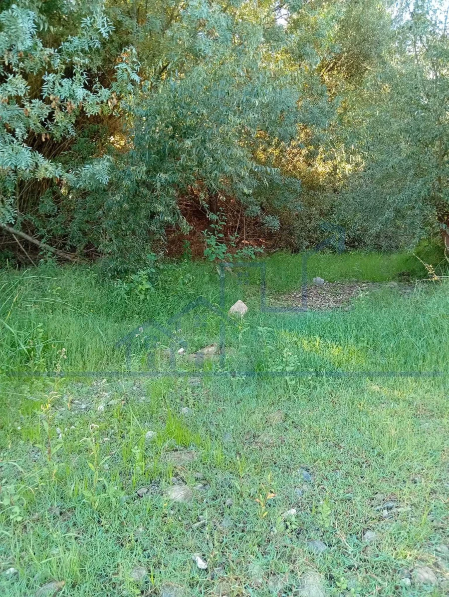 Terreno para Venda em Horta da Vilariça Foto 5