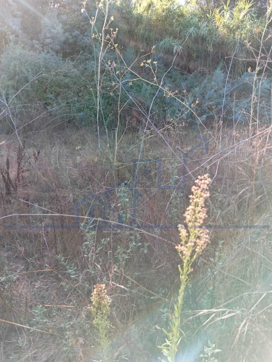 Terreno para Venda em Horta da Vilariça Foto 11
