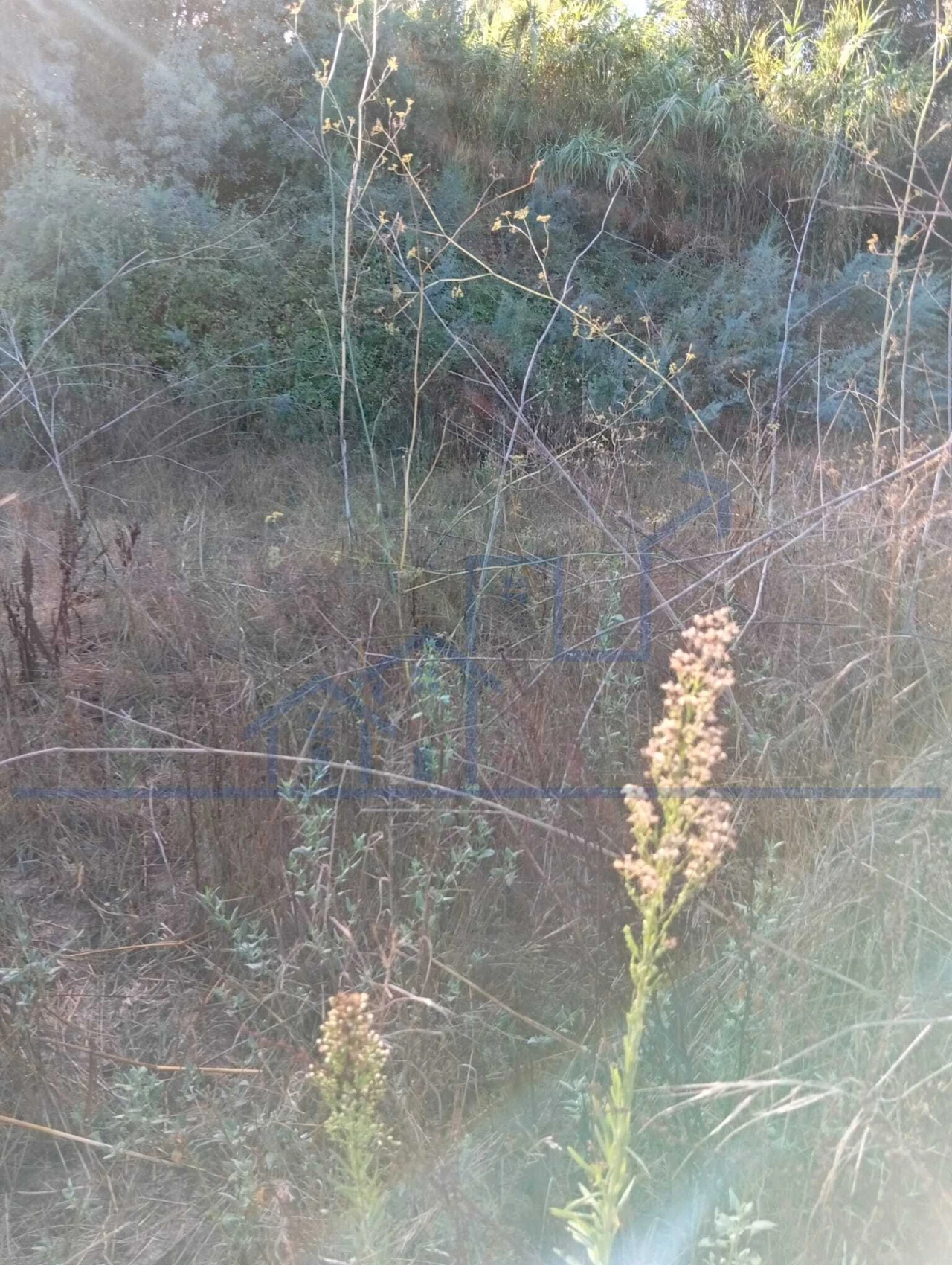 Terreno para Venda em Horta da Vilariça Foto 11