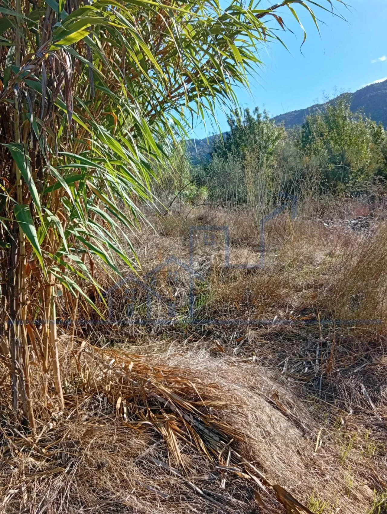 Terreno para Venda em Horta da Vilariça Foto 13