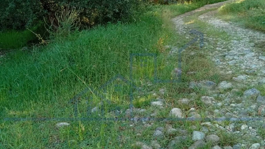 Terreno para Venda em Horta da Vilariça