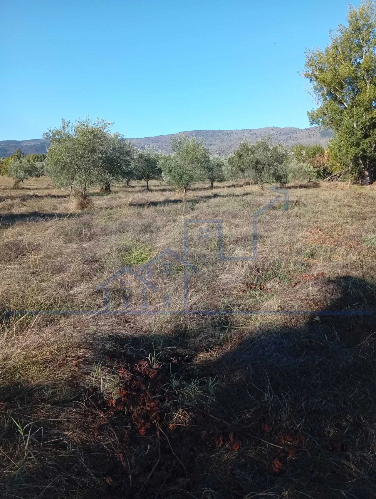 Terreno para Venda em Horta da Vilariça Foto 12