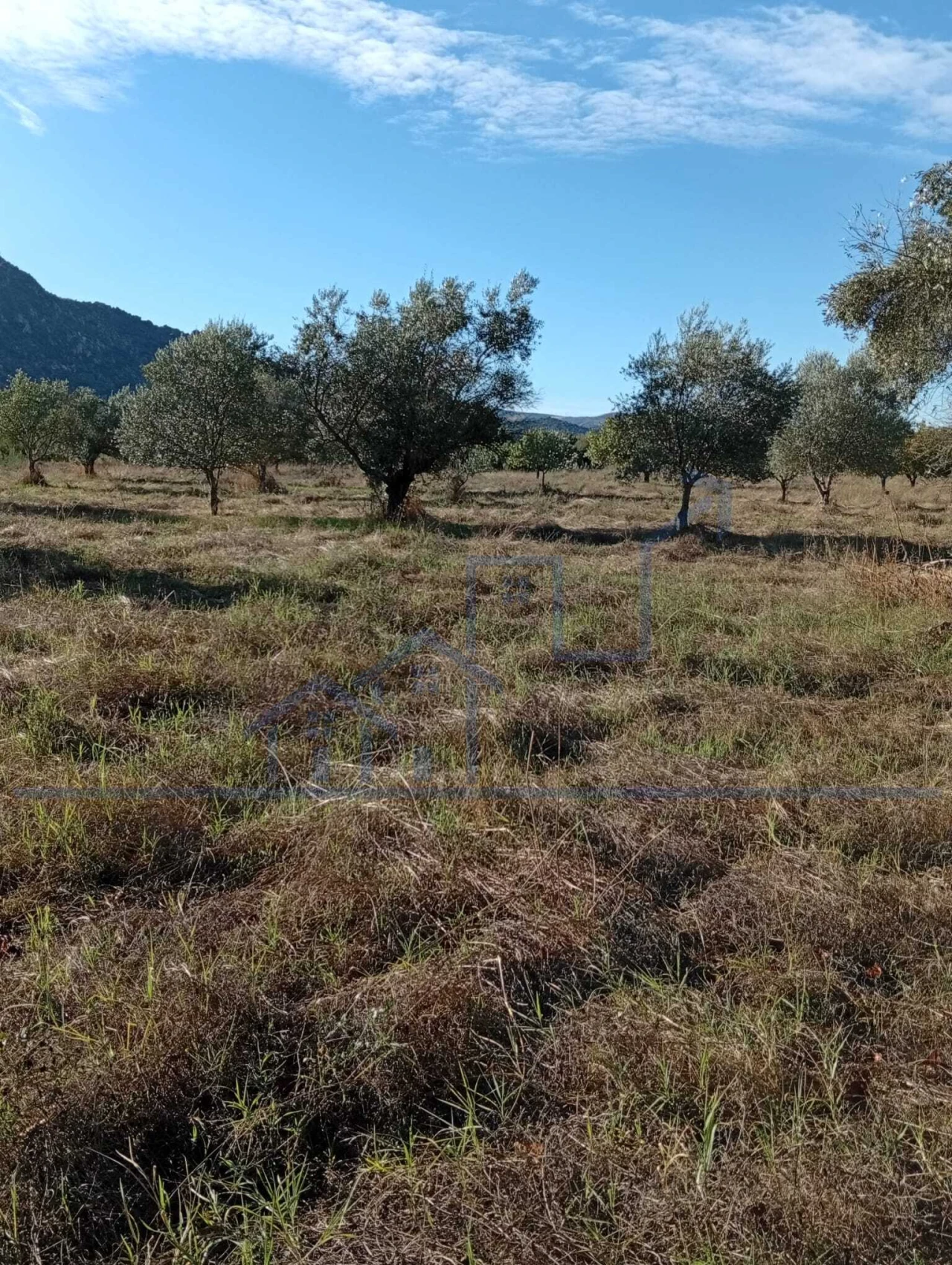 Terreno para Venda em Horta da Vilariça Foto 10