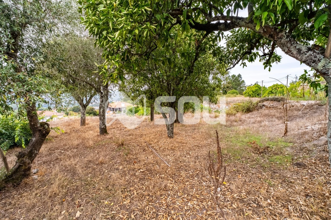 Quinta T6 para Venda em Tabuado Foto 14