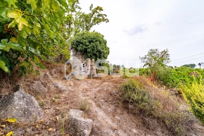 Quinta T6 para Venda em Tabuado