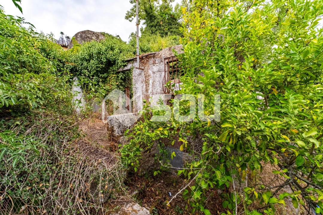 Quinta T6 para Venda em Tabuado Foto 9