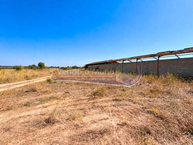 Armazém para Venda em Benavente Foto 7