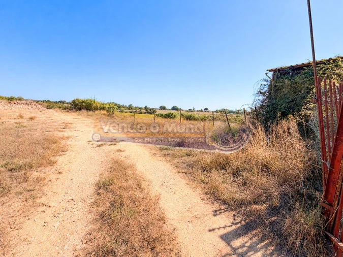 Armazém para Venda em Benavente Foto 10